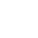 SEO Optimized Content