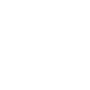 Dynamic Website